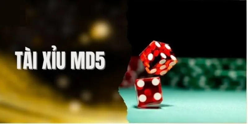 Tìm hiểu phần mềm soi tài xỉu MD5 cùng các tính năng cơ bản